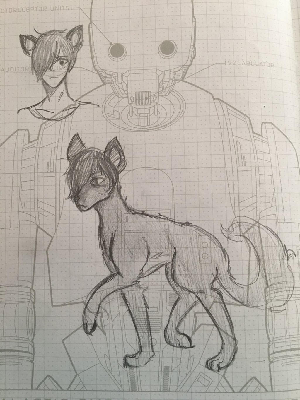 Wolfie's Form Sketch 