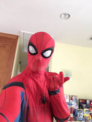 Spider-Man costume Halloween 2019