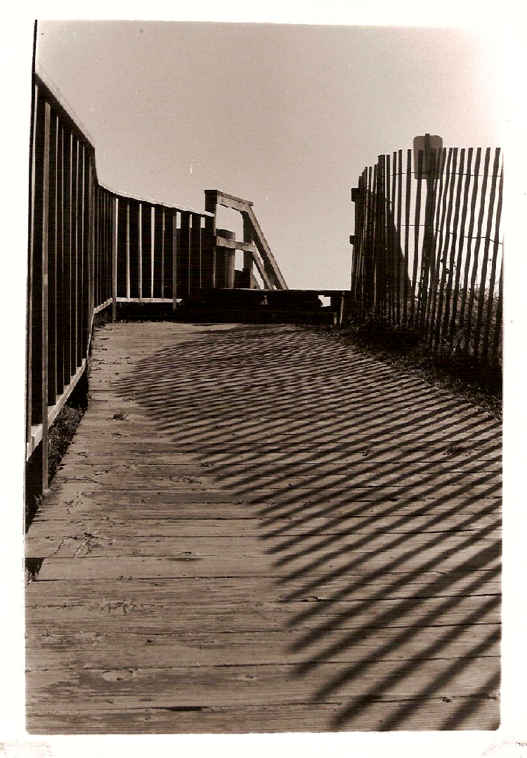 Dunes Walkway