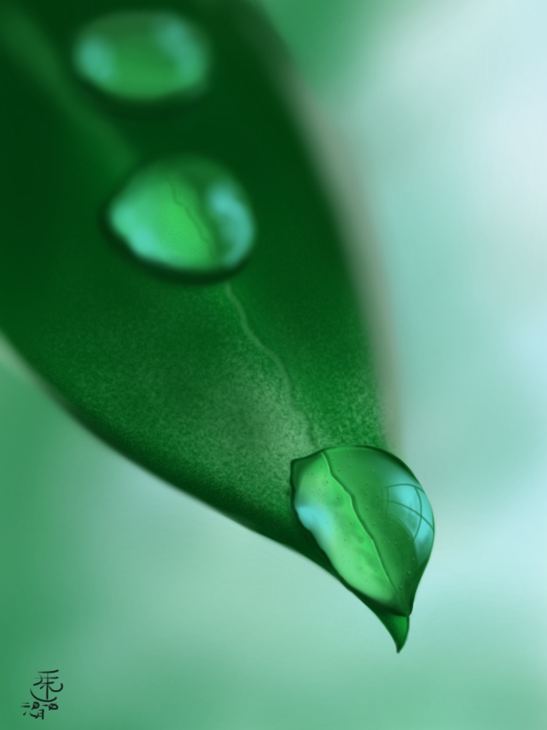 Leaf o droplet