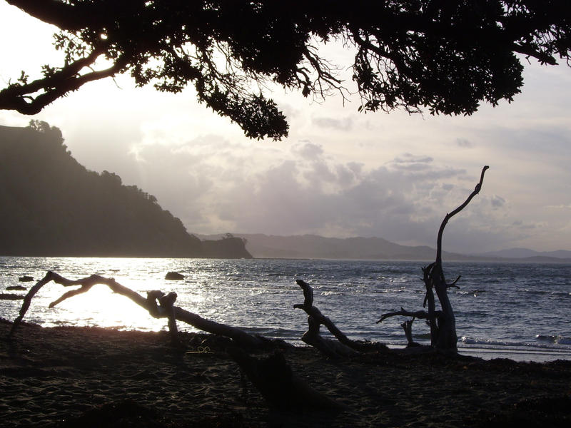 Silhouette against the Sea