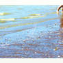 Ocean Memories