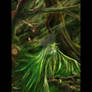 Woodland Green