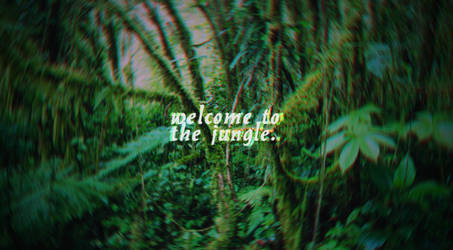 Welcome To The Jungle - Wallpaper