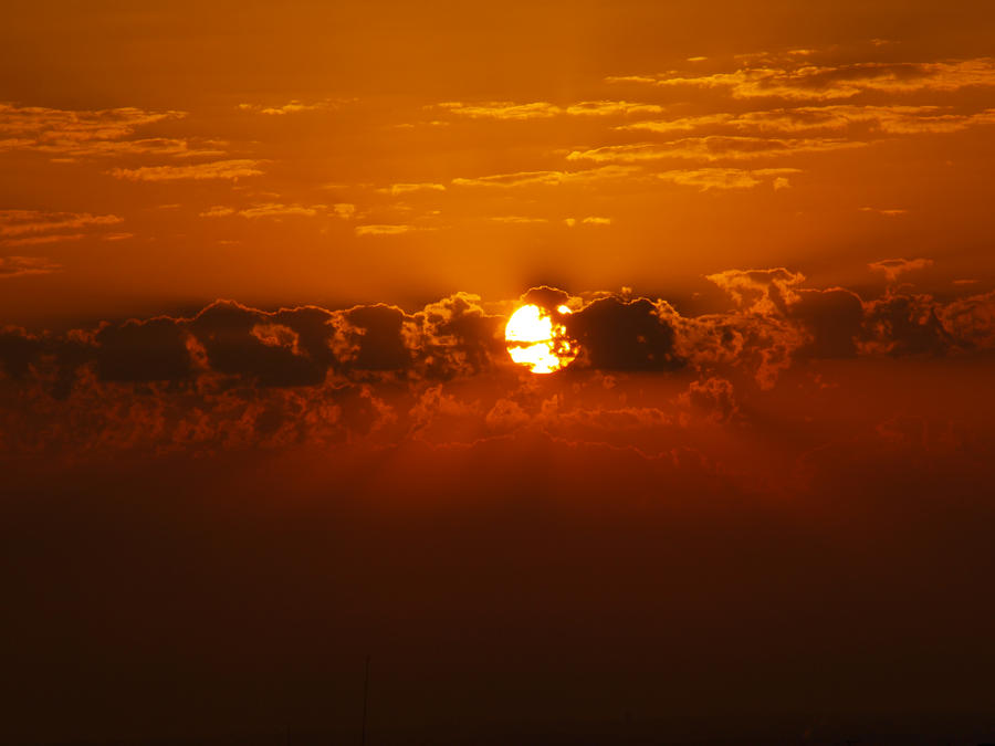 Summer SunSet