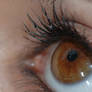 My right eye