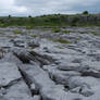 Cracked Rocky Stone Field