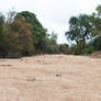 Dry Riverbed 5