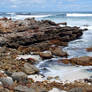 Rocky Shore