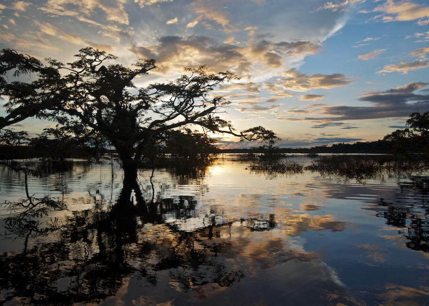 Amazon Sun Set Amazon Sunset by thankyoujames on DeviantArt