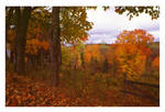 Autumn along the St.John river by ooshkabaya