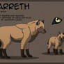 Garreth Character Sheet 2011