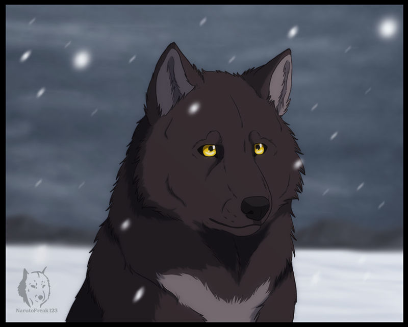 OW - Silent as Stars Remake by SabraeTrash