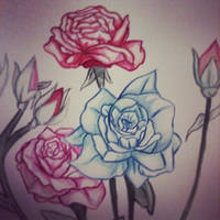 flowers in watercolor