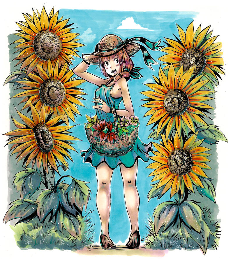 Sunflowers