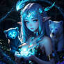 Boreal Bliss