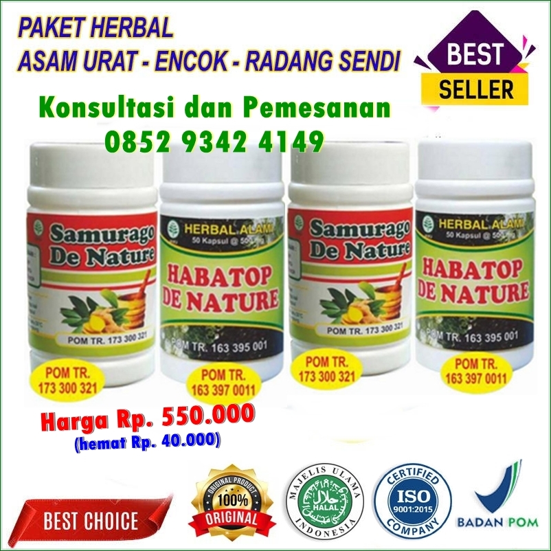 Obat Asam urat 2 minggu