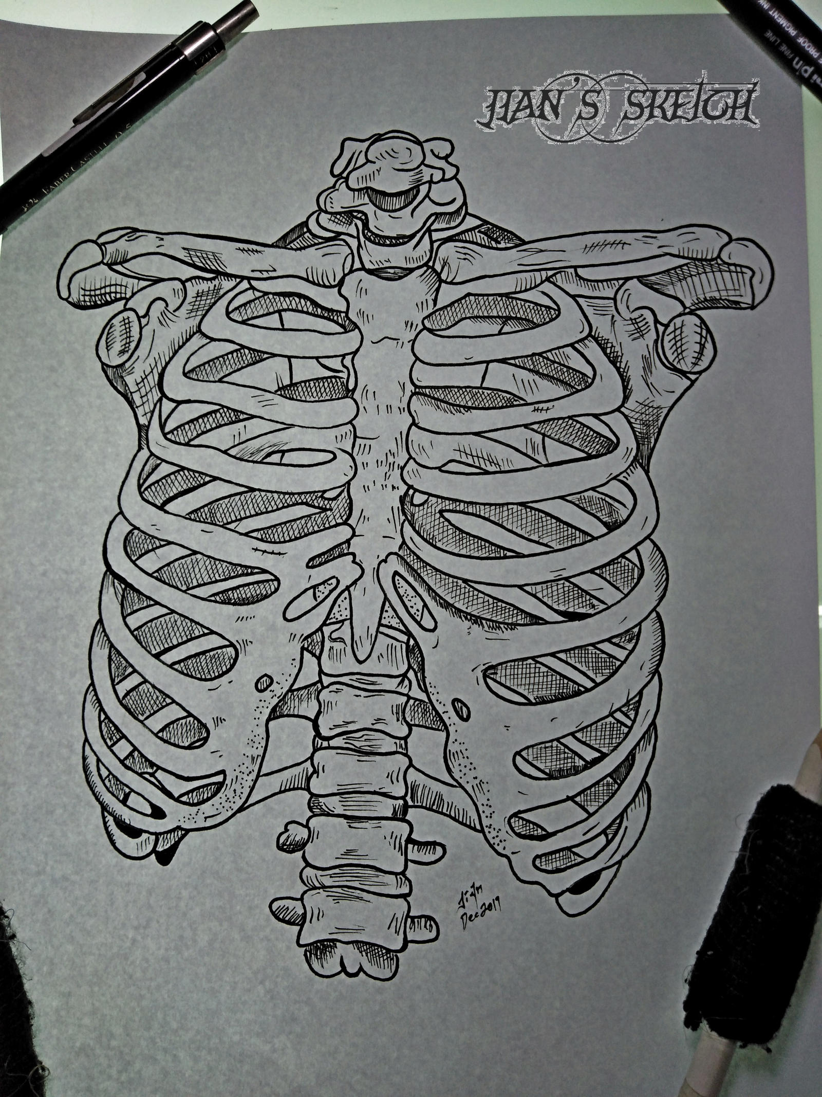 Ribs by jianchong on DeviantArt