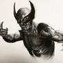 Wolverine Charcoal