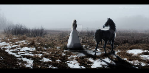 Lady and her horse