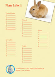 Bunny Timetable 2