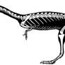 Elaphrosaurus (2002)