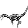 Sinornithosaurus (Dave)