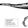 Yutyrannus huali Skeleton