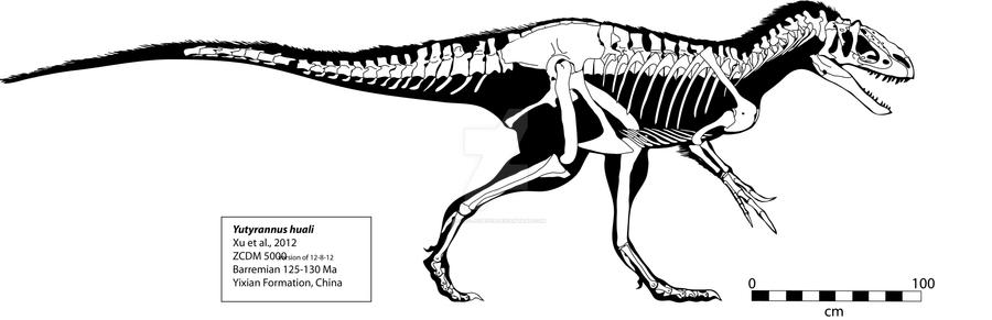 Yutyrannus huali Skeleton