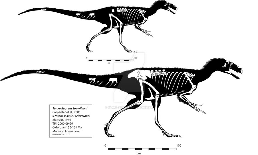 Tanycolagreus (Stokesosaurus?) Skeleton