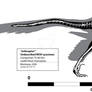 Julieraptor (Saurornitholestes?) Skeleton