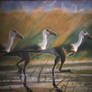 Troodon Trio (Pastel 1994)