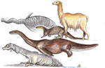 Nessie Evolution