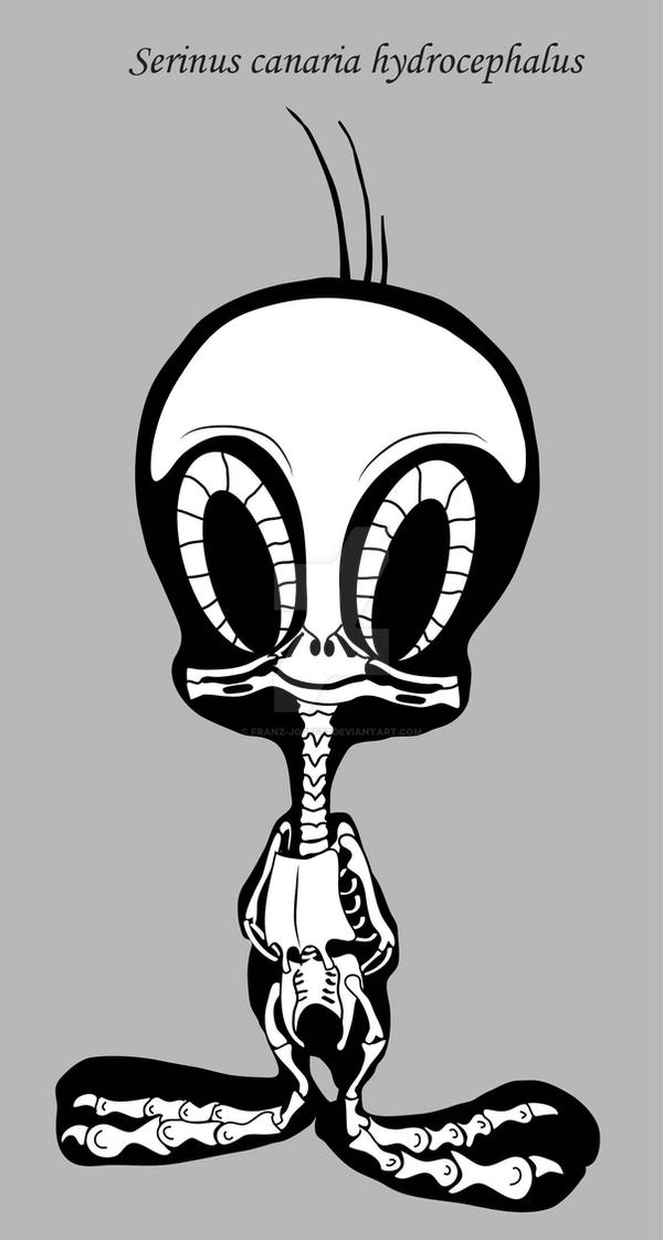 Neotenous Canary by Franz-Josef73 on DeviantArt