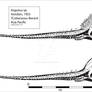 Anguirus Skeleton