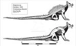 Anguirus Skeleton