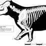 Coryphodon radians a Wasatchian pantodont