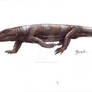 Varanosaurus acutirostris