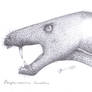 Perplexisaurus foveatus