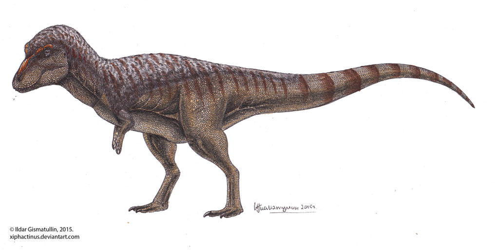 Lythronax Tooth Lythronax! by Xiphactinus on DeviantArt