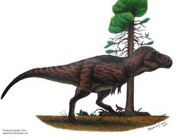 Zhuchengtyrannus magnus