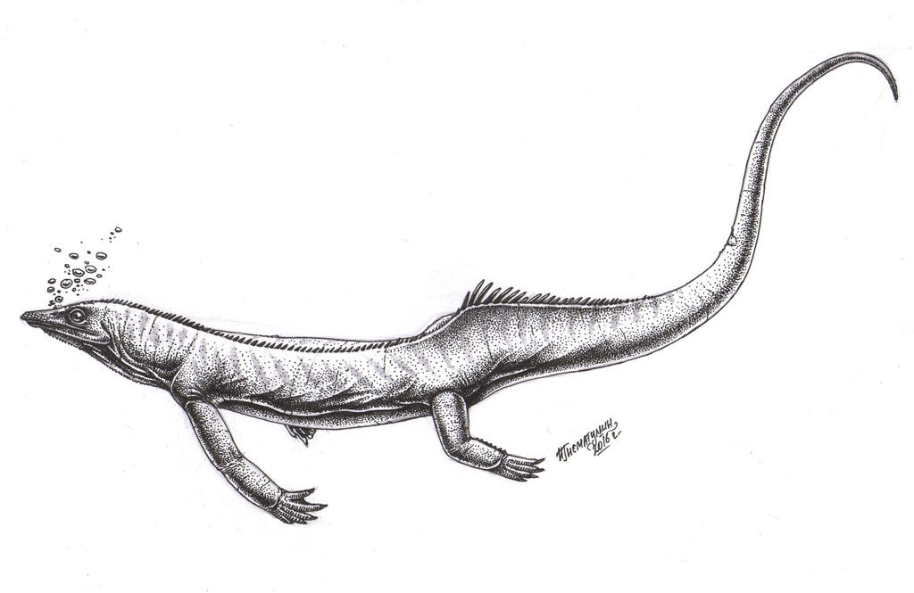 Largocephalosaurus polycarpon
