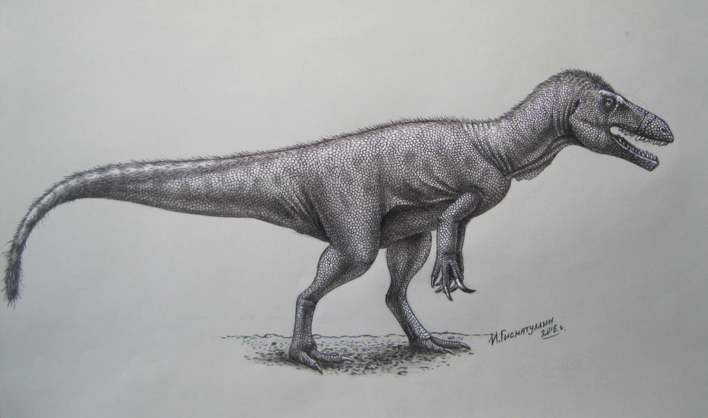 Murusraptor barrosaensis