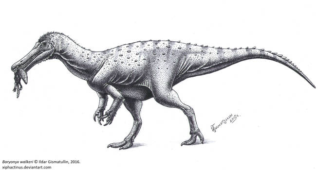 Baryonyx walkeri