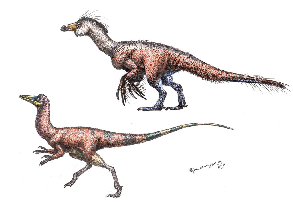 Compy and predatory therizinosaurid