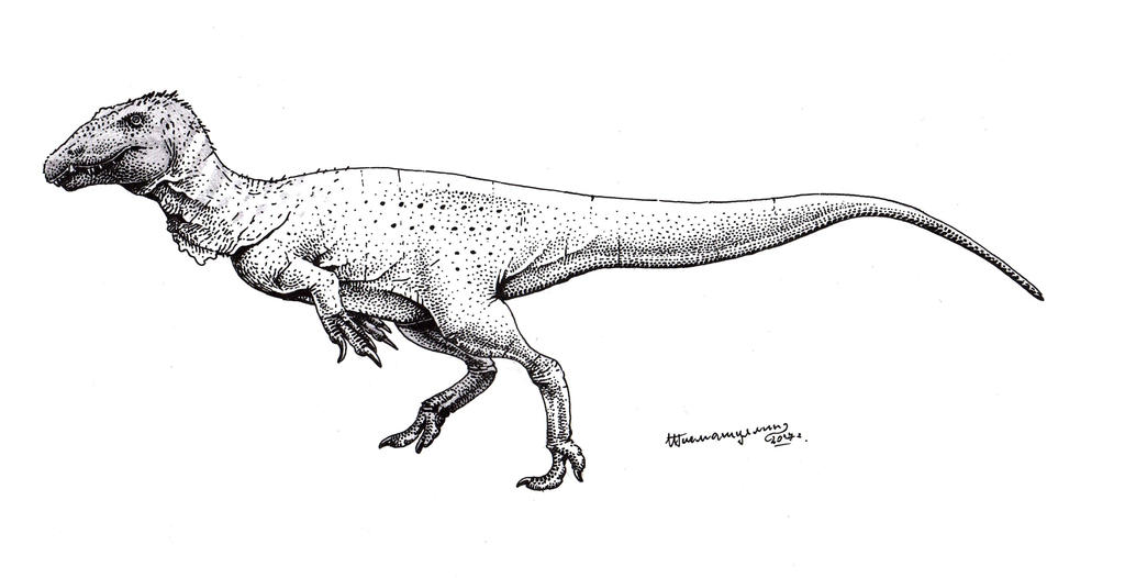 Ostafrikasaurus crassiserratus