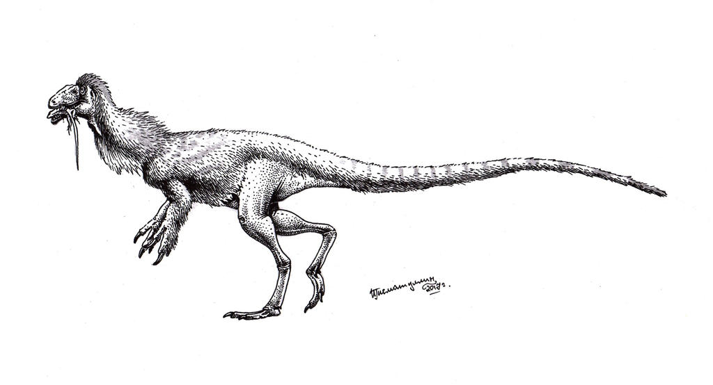 Coelurus Deviantart Coelurus fragilis by Xiphactinus on DeviantArt