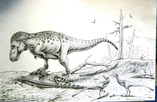 Tyrannosaurus rex and Pectinodon