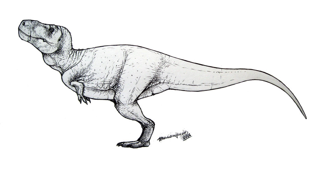 Tiranossauro Rex Small para colorir by PoccnnIndustriesPT on DeviantArt