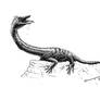 Fuyuansaurus acutirostris